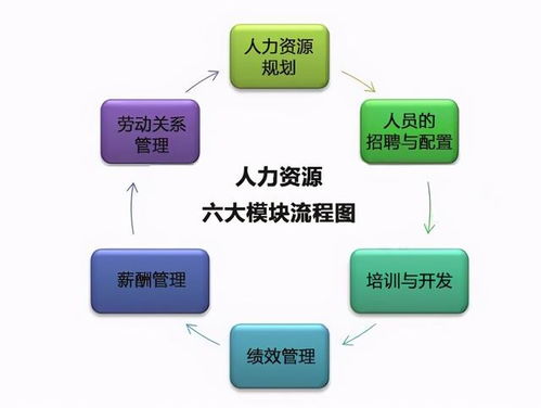 職場(chǎng)百科 人力資源證書怎么考 人力資源證書考試考什么