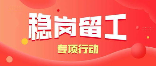 百萬青年長(zhǎng)技能,促進(jìn)就業(yè)見行動(dòng)